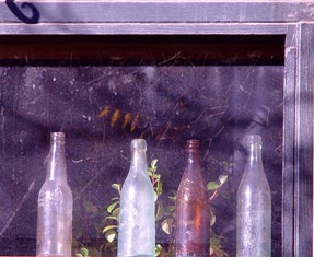 This photo of antique bottles, probably early beer bottles, on an old windowsill, was taken by Baltimore, MD photographer Michelle Kwajafa.